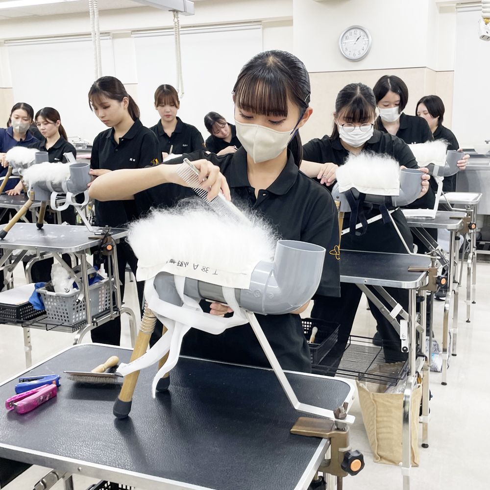 １年生はグルーミングとカット強化☆